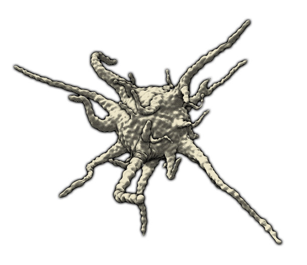 血小板血小板活化细胞图片下载