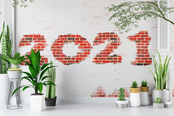 绿色植物和砖墙的2021年新年概念图片下载
