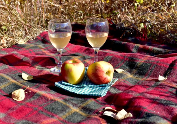 在美丽的秋色公园里，享用美味的野餐和白葡萄酒图片下载