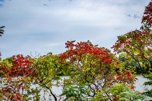 秋天的颜色图片下载