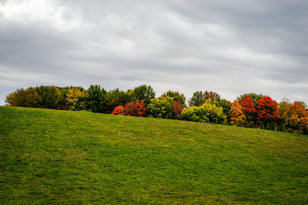 秋天的颜色图片下载