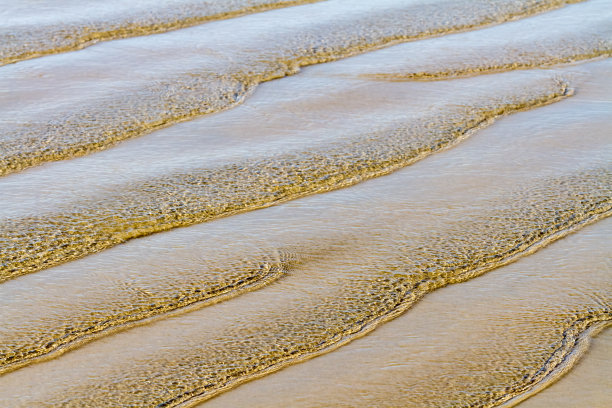 太平洋的皱纹图片下载