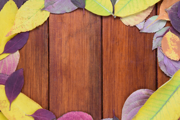 由不同颜色和形状的秋天落叶制成的框架。在画框的中间有一个空的地方图片下载