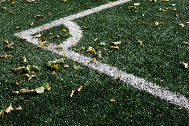 足球足球行图片下载