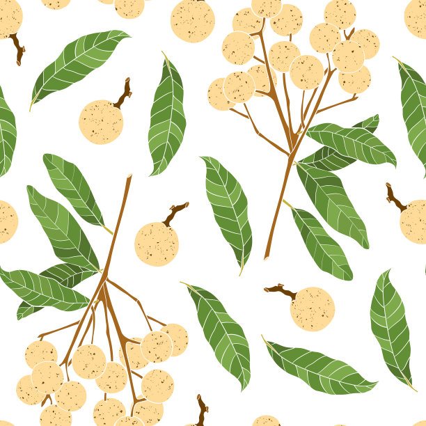 以龙眼果为花色无缝图案图片下载