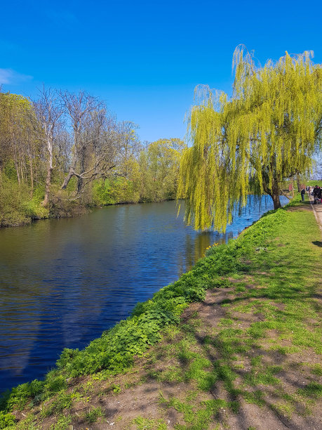 粉红色的花坛图片下载