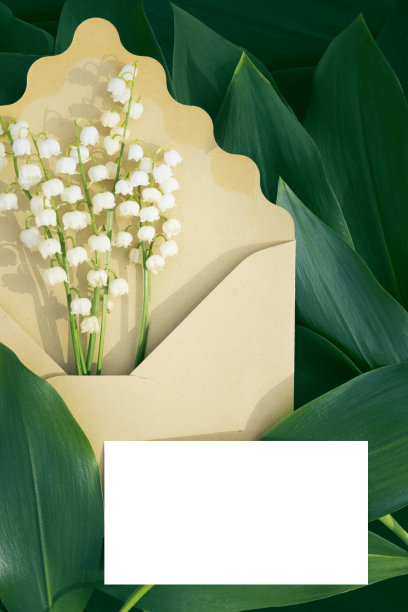 在大自然的地面上以铃兰和绿叶制作信封模型。五月百合装在信封里，还有名片。企业本质的概念。婚礼邀请函模板图片下载