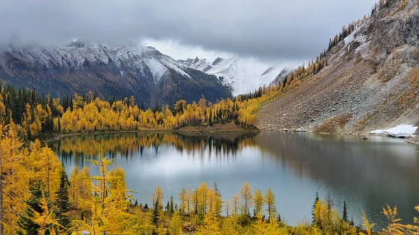 湖上的落叶松图片下载