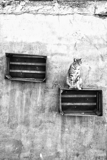 盒子上的凯蒂图片下载