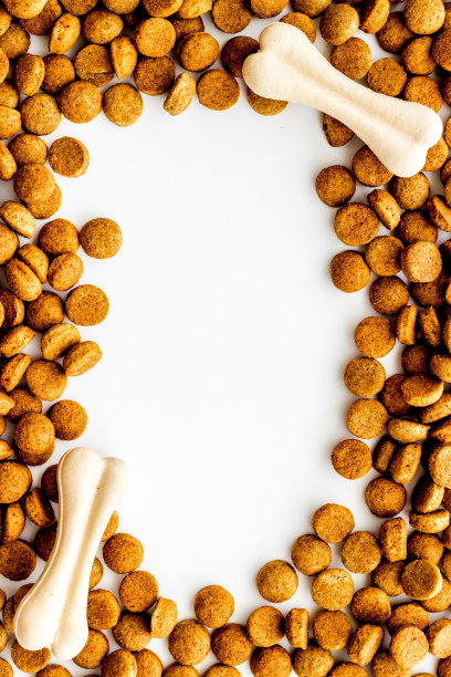 干宠物狗粮背景与拷贝空间。以上观点图片下载