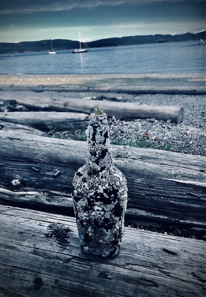 海洋的瓶子图片下载