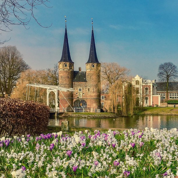代尔夫特春天的观点图片下载