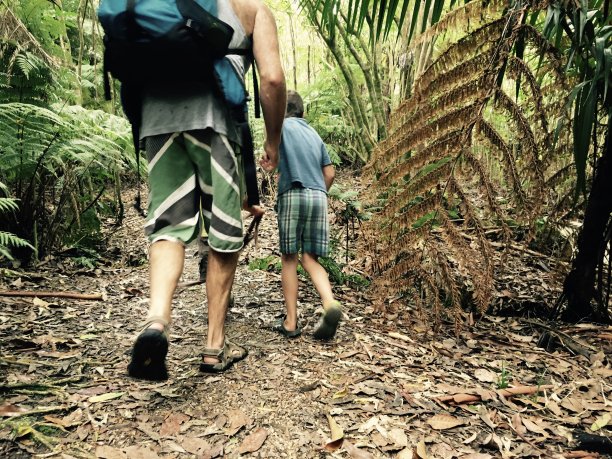 父亲和孩子跑进森林图片下载