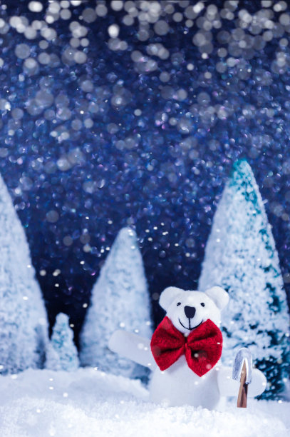 白熊在深雪中图片下载