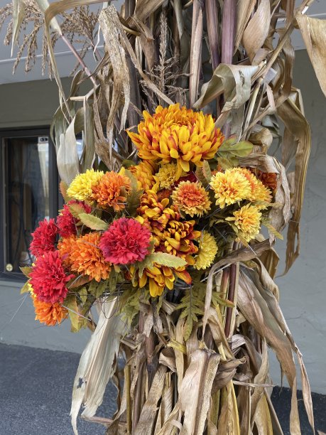 秋天的花图片下载