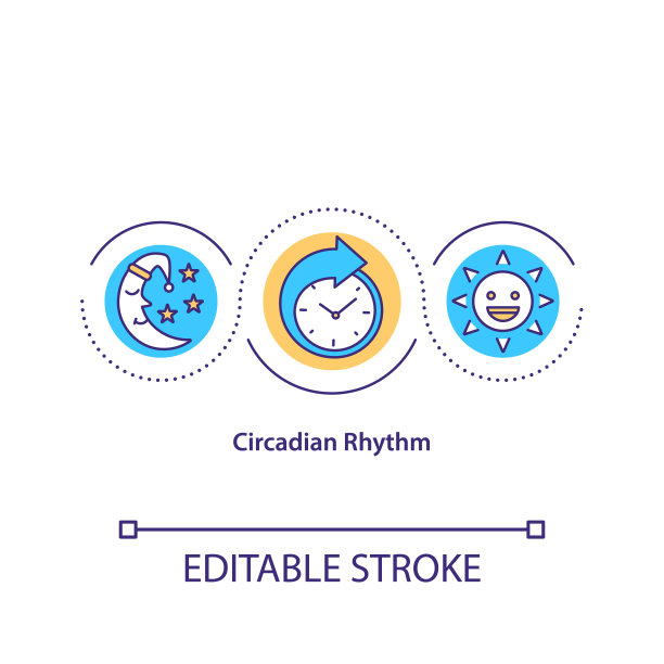 昼夜节律概念图标图片下载