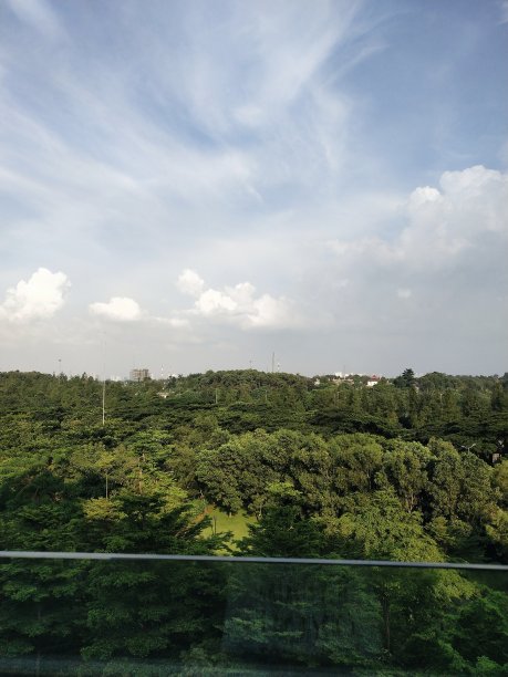 俯瞰城市公园图片下载