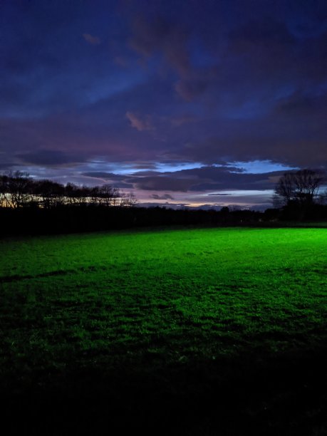 夜羽轴)图片下载