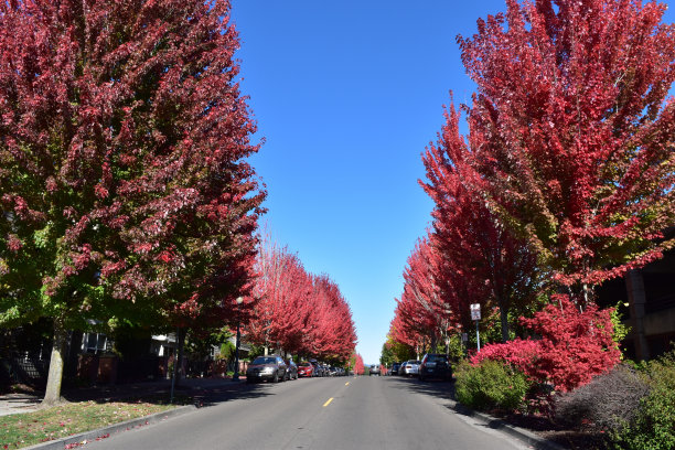 秋天的颜色图片下载
