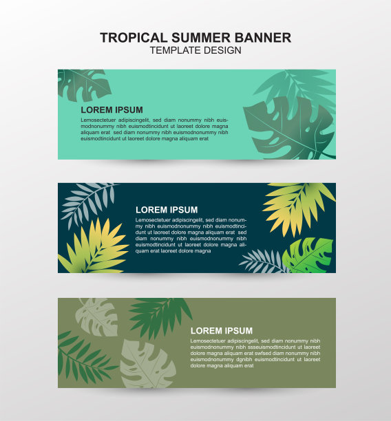 摘要热带夏季横幅设计图片下载