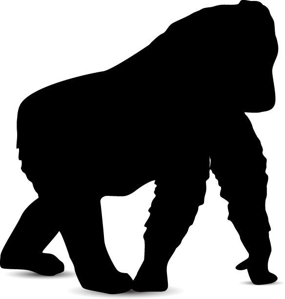 大猩猩的剪影。图片下载