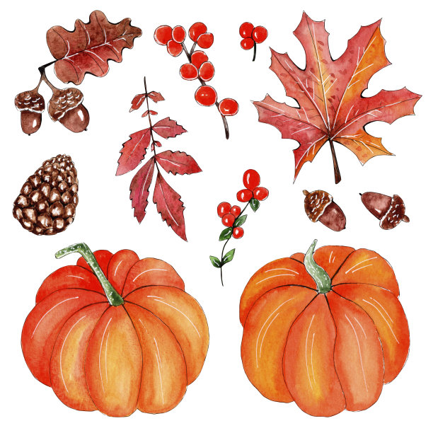 手绘水彩感恩节套装。图片下载