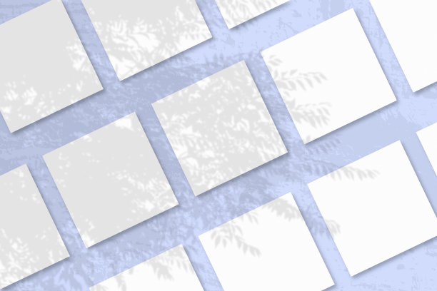 自然光从奇异的植物投射阴影几张方形的白色纹理纸图片下载