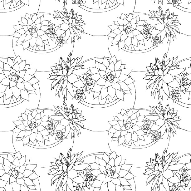 无缝花纹仙人掌肉质花月桂在盆中白色背景。室内黑色线条艺术家居植物。有创意的手绘艺术图片下载