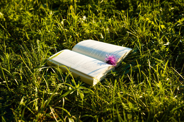 打开大自然的书图片下载