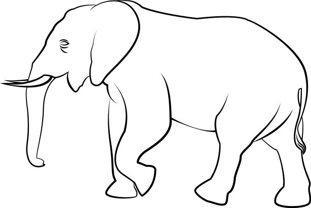 行走的大象有着强大的力量和轮廓图片下载