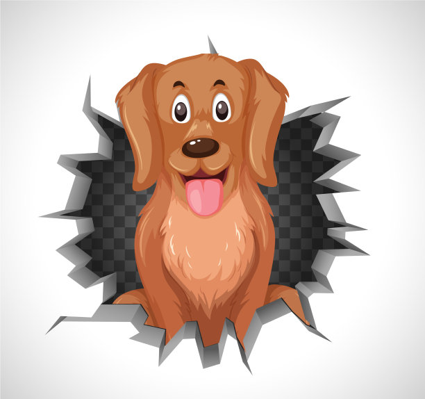 可爱的狗从裂墙里出来图片下载