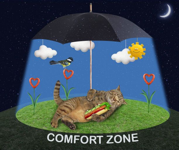 猫在伞下躺在草地上图片下载