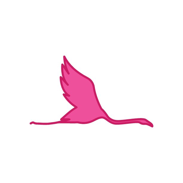 火烈鸟图片下载