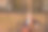 一个留着红色长发的年轻女子坐在公园的长凳上。图片下载