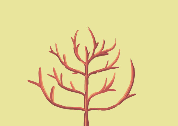 平树松树图标插图。森林简单植物图片下载