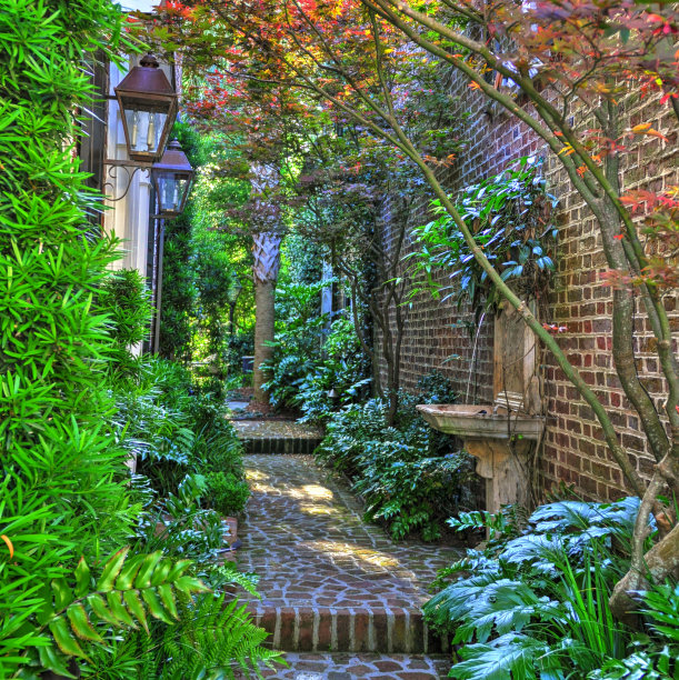 美丽的带有喷泉的砖路-查尔斯顿，SC图片下载