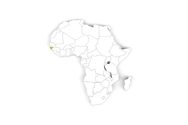 标有边界的非洲3d地图-用几内亚比绍国旗标出几内亚比绍地区图片下载