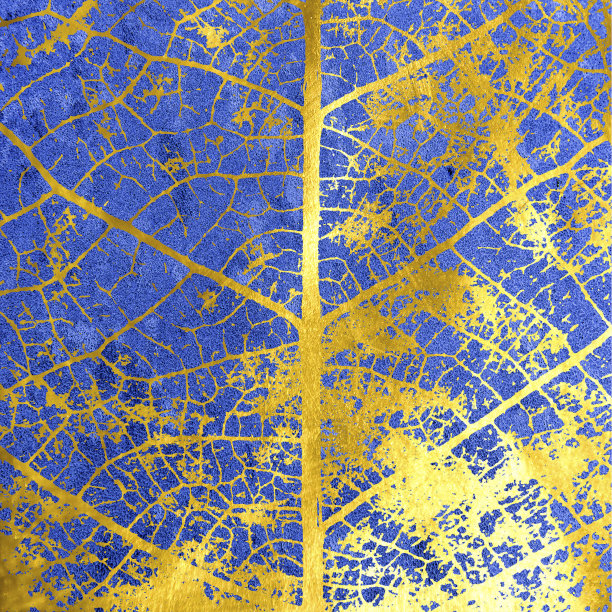 蓝色金色叶片细节图片下载