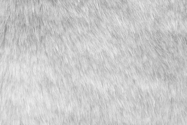 白色毛皮织物纹理背景图片下载