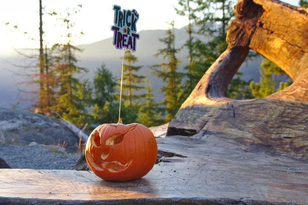 万圣节的南瓜灯(雕刻的南瓜)带有不给糖就捣蛋的标志，户外，加拿大不列颠哥伦比亚省图片下载