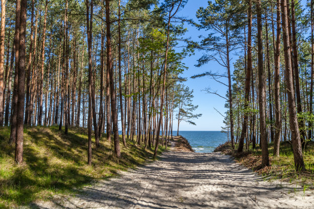 波罗的海图片下载