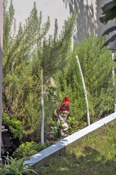 花园里有个侏儒的身影图片下载