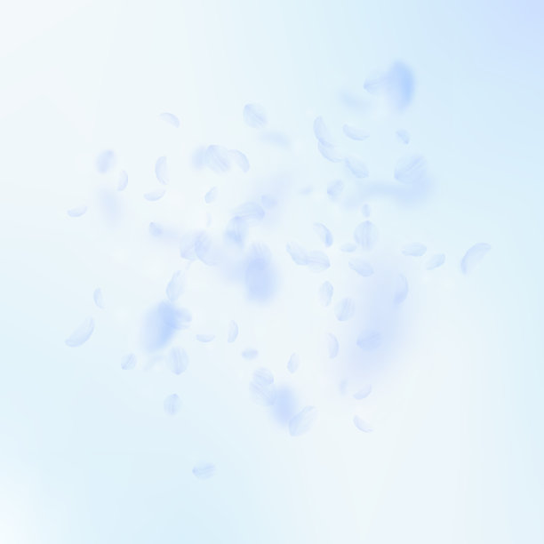 淡蓝色的花瓣落下可怕的ROM图片下载