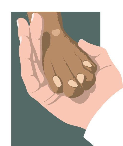 一只手轻轻地握着一只狗的爪子放在绿色的地上图片下载