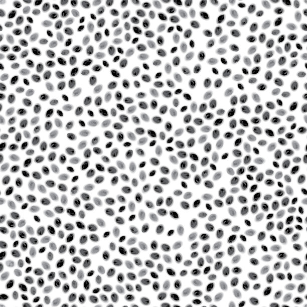 嘉布丁无缝图案。现实的矢量插图奇亚种子。营养背景。富含欧米茄的有机健康早餐超级食物。图片下载