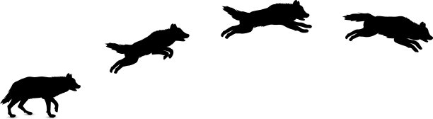 狼的剪影。图片下载