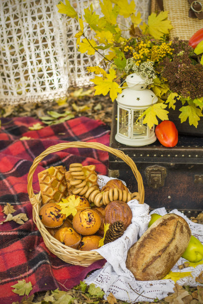 秋季森林野餐的装饰。大自然中的复古照片。秋天天气暖和。印度的夏天。乡村秋天的静物。收获或感恩节。秋天装饰,聚会。灯笼,古董行李箱图片下载