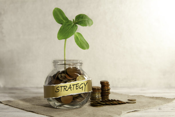 策略。一个装有硬币的玻璃罐子，桌子上有一棵植物，旁边有几枚硬币，背景是灰色的。金融和投资的概念。图片下载