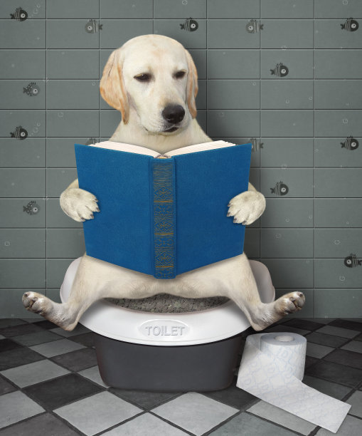 狗在厕所里看书图片下载