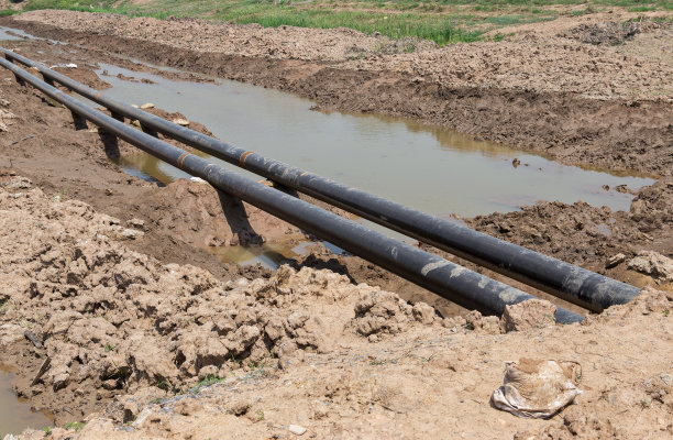 泰国，建筑柱，背景，美，水泥图片下载